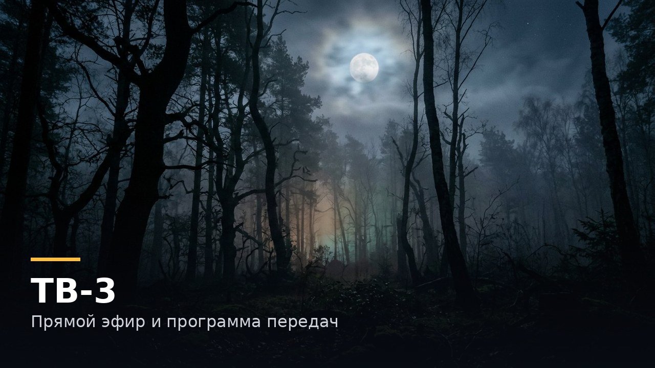 Обложка: ТВ-3 — Прямой эфир и программа передач